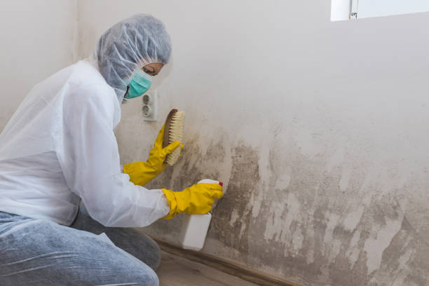 Mold Remediation for Vacation Homes in Lowesville, NC
