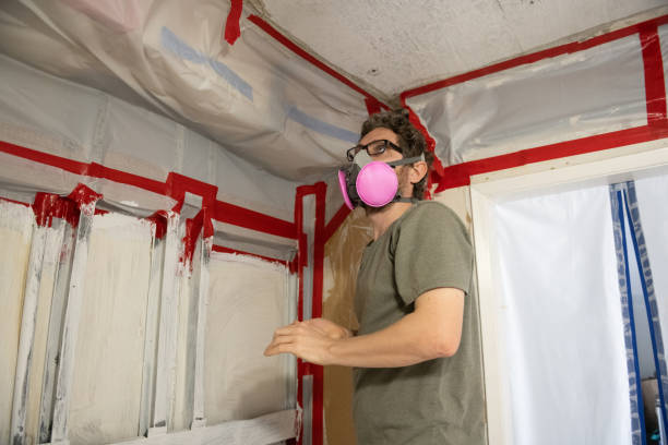 Best Basement Mold Removal  in Lowesville, NC