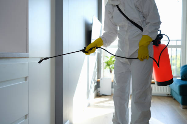 Best Mold Odor Removal Services  in Lowesville, NC
