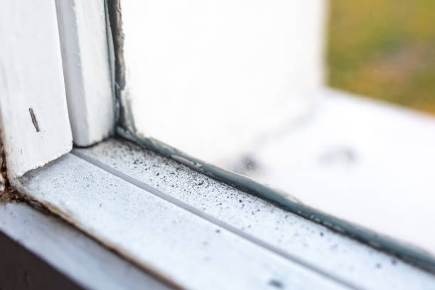 Best Dehumidification Services  in Lowesville, NC