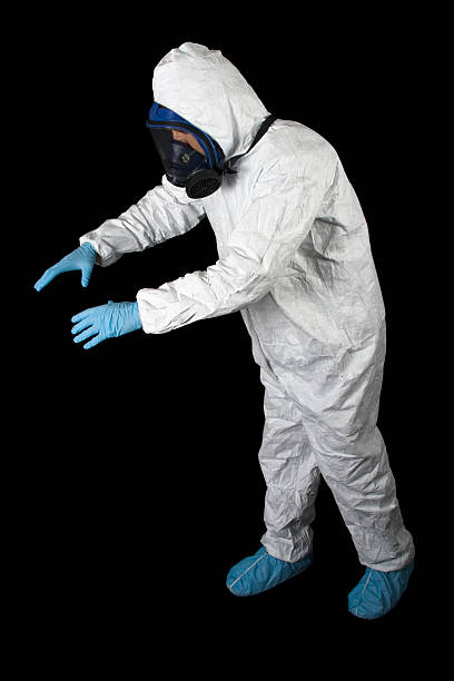 Environmental Consulting for Mold Prevention in Lowesville, NC